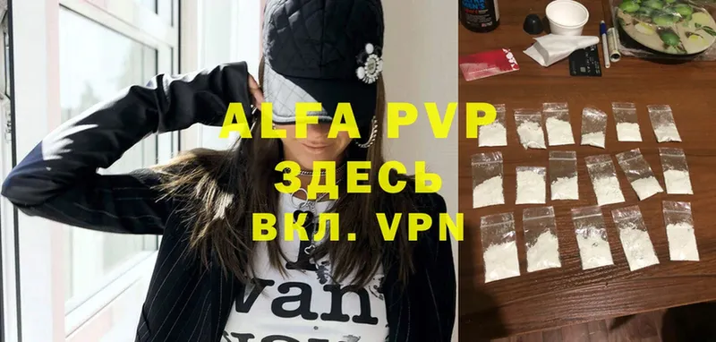 A PVP СК  Ачинск 