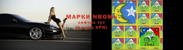 твердый Корсаков