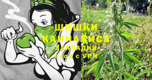 твердый Корсаков