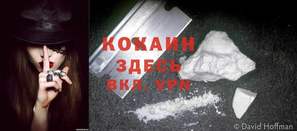 твердый Корсаков