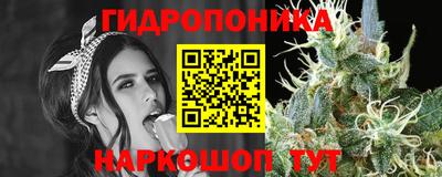 apvp Апшеронск