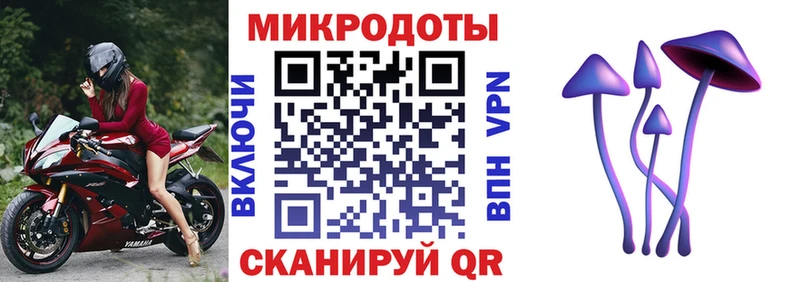 хочу наркоту  Ачинск  Галлюциногенные грибы Psilocybe 