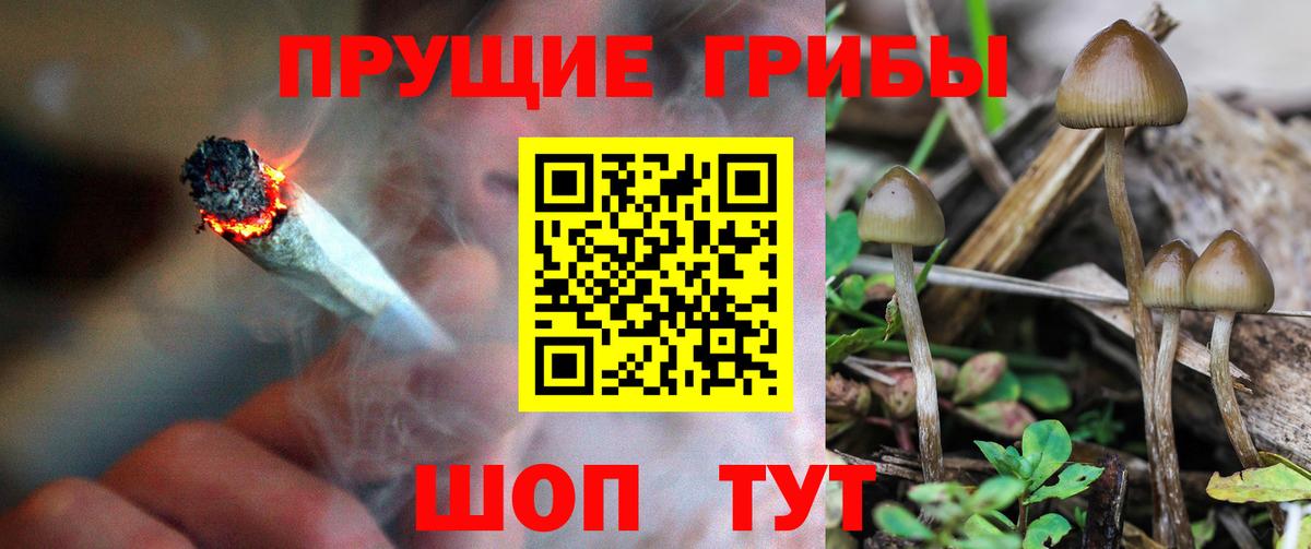 Псилоцибиновые грибы мухоморы Ачинск