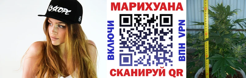 мориарти наркотические препараты как найти наркотики Ачинск Канабис сатива